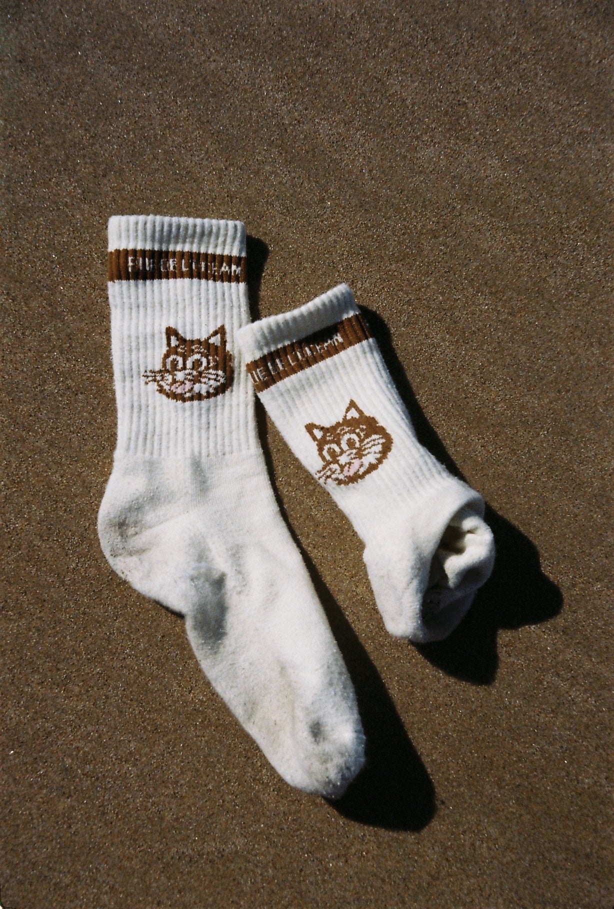 Pack of 2 Socks - Meooww - Cream and Chocolate