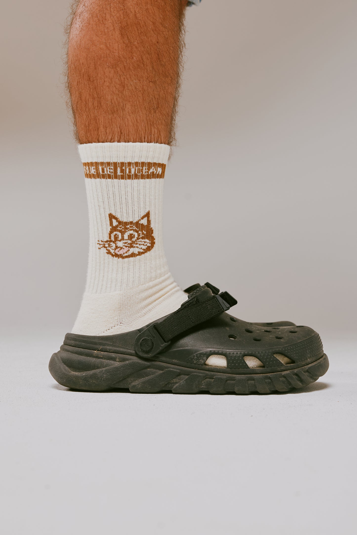 Pack of 3 Socks - Meooww - Cream and Chocolate