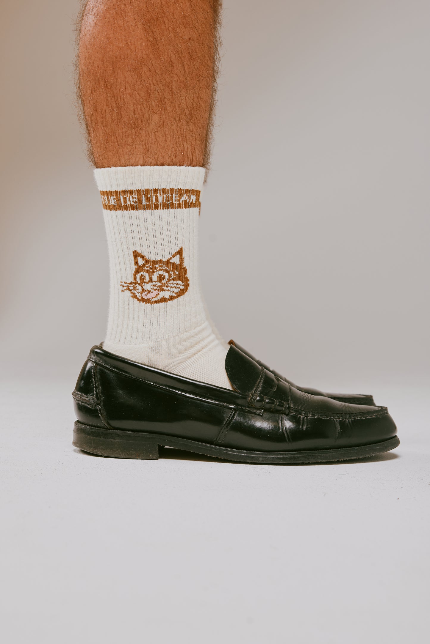 Pack of 3 Socks - Meooww - Cream and Chocolate