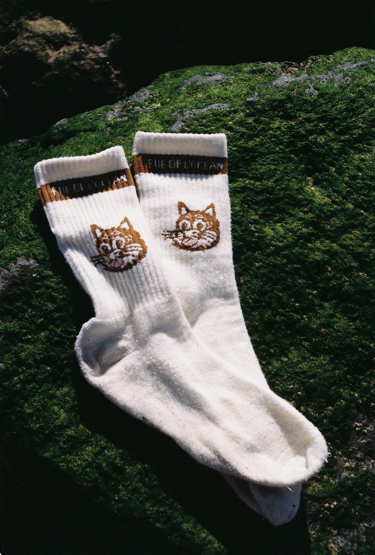 Pack of 2 Socks - Meooww - Cream and Chocolate