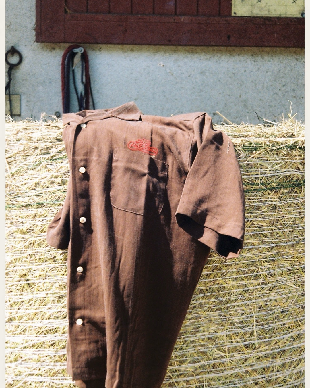 Rodeo Short Sleeve Shirt - Chocolate